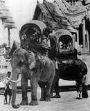 In the 19th century, the Asian Elephant held a prominent position in Siam, although they were hunted regularly north of Ayutthaya and the Lao States (present day, Chiang Mai province and Isan). Not only were elephants used as beasts of burden in agriculture and for hauling timber, but they were active in war leading cavalry charges against the enemy. Elephants were frequently employed in the Siamese-Burmese wars of the Middle Ages. Siam's kings kept elephants, especially prized albino elephants, in elaborate stables. An adult Asian Elephant regularly lives to 90 years of age, grows to 2.5 to 3 meters in height and consumes about 100 kg of hay, fruit and vegetables per day. During the reigns of King Mongkut Rama IV (1851—68) and King Chulalongkorn (1868—1910), the national flag of Siam was a white elephant on a red background.