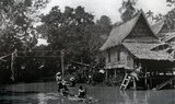 At the turn of the 20th century, the vast majority of Siamese were rice farmers who lived and worked along waterways. Every household had a boat, an estimated 600,000 of which navigated the canals and rivers of Bangkok. Rowing was done from the back of the boat. Most houses were made from wood and bamboo, and were built on stilts with a ladder running to the water.