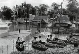 At the turn of the 20th century, the vast majority of Siamese were rice farmers who lived and worked along waterways. Fishermen, too, lived close to or on the rivers and canals. Every household had a boat, an estimated 600,000 of which navigated the canals and rivers of Bangkok. Rowing was done from the back of the boat. Most houses were made from wood and bamboo, and were built on stilts with a ladder running to the water. Corn was mostly grown in the mountainous north of the country, often by ethnic hilltribes peoples.