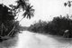 Thailand: A canal scene from outside Bangkok, c. 1900